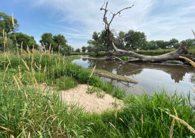 Poudre River Reach 13 Restoration Concept Plan